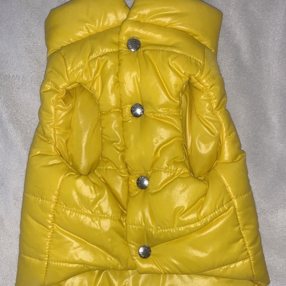 Moncler Dog Coat !!!Sold!!! - Picture 2 of 4